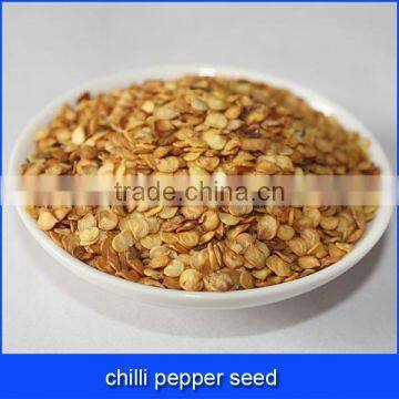 chilli pepper seed