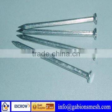 China professional factory galvanized common iron nails