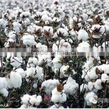 High Purity Mepiquat Chloride TC 98%,Technical Product photo-6