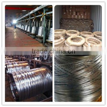 ISO 9001 BWG 5 - 28 galvanized coated hanger wire (Electro / Hot dipped galvanized)