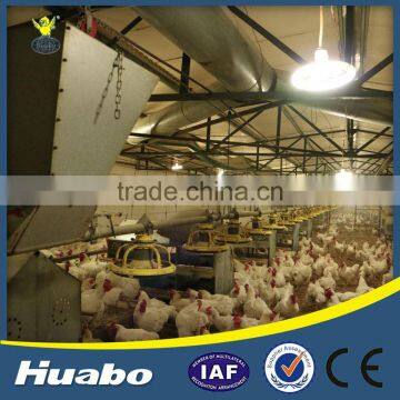 Chicken Poultry Shed Feeder Male Breeder Pan Feeding System