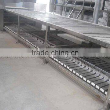 Automatic stainless steel flat belt conveyors for pig slaughter