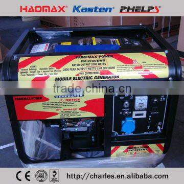 WS TYPE GASOLINE GENERATOR PM3900EWS