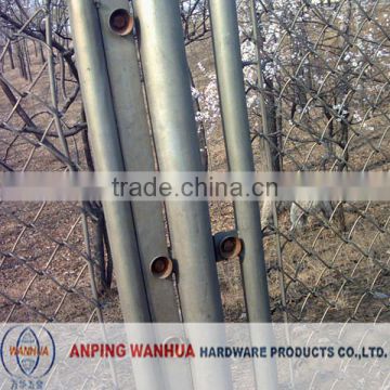 Competitive price white chain link fence anping factory