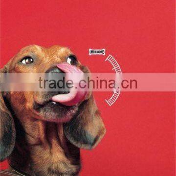 Pellet Food Machine photo-3