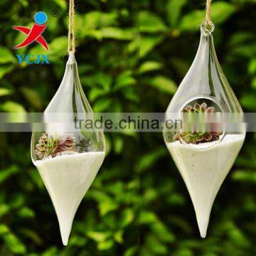 Haning Rugby Shape Glass Plant Terrarium