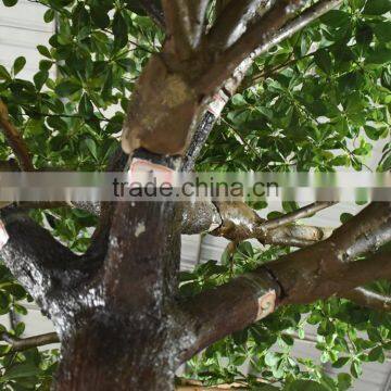 Artificial Large Outdoor Money Tree Green Large Artificial Decorative Rich Tree Money Plant Tree photo-5