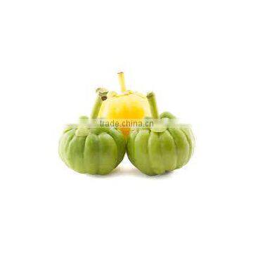 Indian GARCINIA CAMBOGIA EXTRACT for making slimming capsule