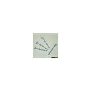 Chipboard Screws