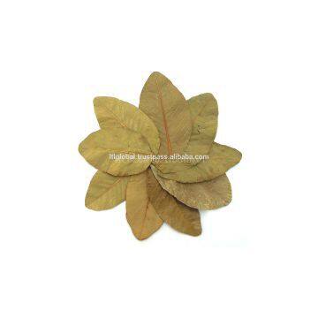 DRIED GUAVA LEAVES photo-2