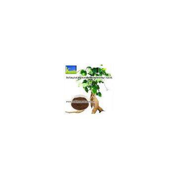 Kudzu Extract(Puerarin,Isoflavones)