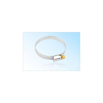 DIN3017 Hose clamp worm type