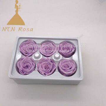 Preservewd flower roses A grade fresh cut roses from ecuador wholesale longlasting flower