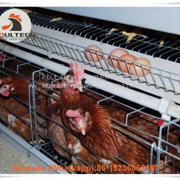 Thailand Chicken Farm Automatic Egg Hen Chicken Cage & Layer Cage & Hen Cage With 90-200 Birds in Chicken Shed