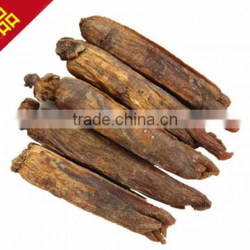 Honeyed Korean Red Ginseng, panax ginseng slice