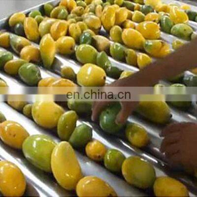Superior Quality Industrial Stainless Steel Mango Production Line photo-3