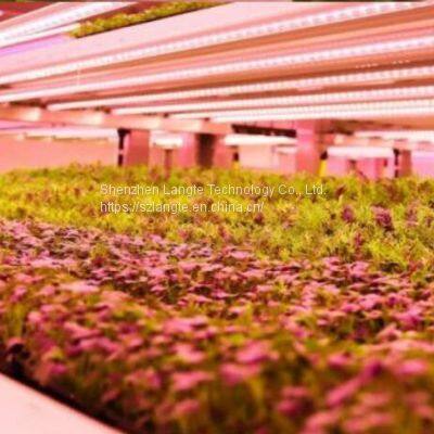 Led Grow Lights China Price Led Plant Light Manufacturer photo-4