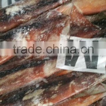 Frozen illex squid whole round in good quality