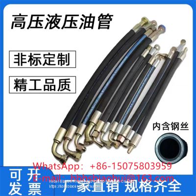 High Quality 2sn/1sn Hydraulic Hose Assembly