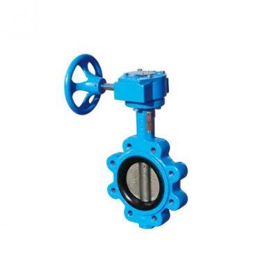 China High Quality DN65 Butterfly Valve Manufacturer