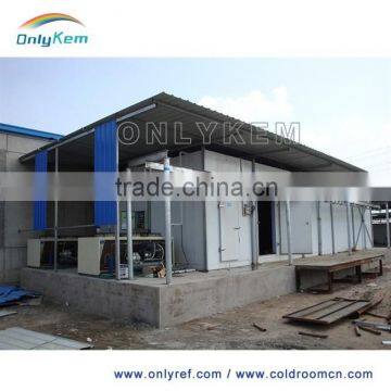 walk in cold chamber and cold rooms for horticulture