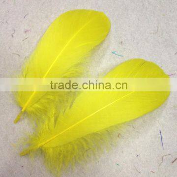 Wholesale Nature Goose Feather Carnival for Party Trims photo-4