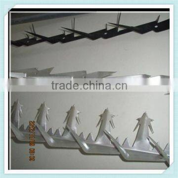 galvanized wall spikers(factory price)