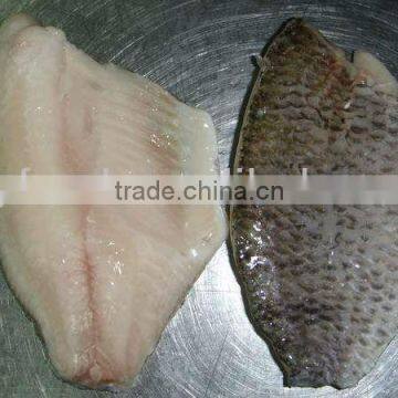 Frozen IQF IVP IWP bulk High Quality Tilapia Fillets