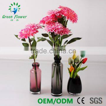 Greenflower 2016 Barberton Daisy Real Touch Chinese Herbaceous Peony Wedding Decrations Flowers photo-2