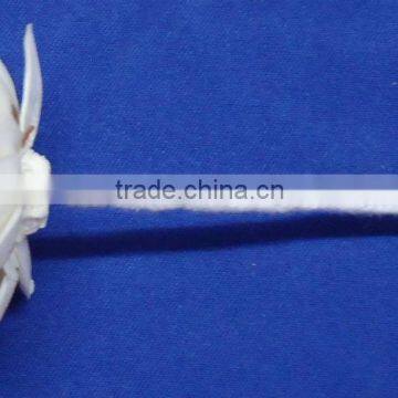 Sola Flower