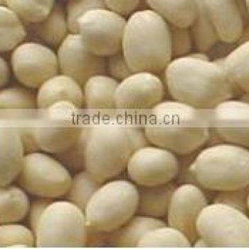 Hot Sale Wet Broad Bean Peeling Machines For Sale, High Efficiency Small Garlic Peeling Machine photo-5