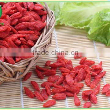 Food Distributors for Dried Fruit, Goji Berry