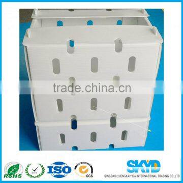 pp Type Fresh Fruit Corrugated Plastic Shipping Boxes