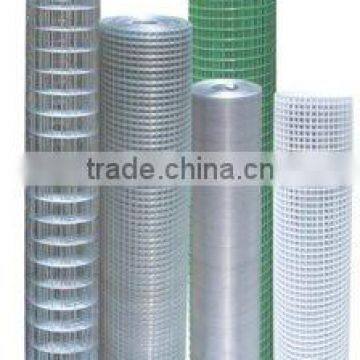 1/4'' galvanized welded wire mesh (Anping manufacture)