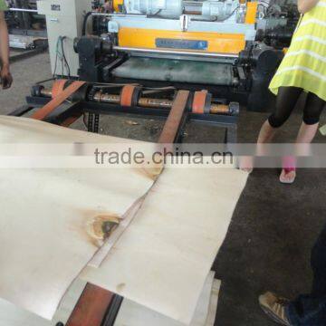 Veneer Peeling Lathe/servo Control Rotary Veneer Lathe photo-4