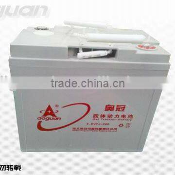 12V120Ah (6-EVFJ-120) EV Colloid Battery