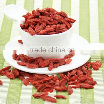 ISO 9001 Goji Berry photo-2