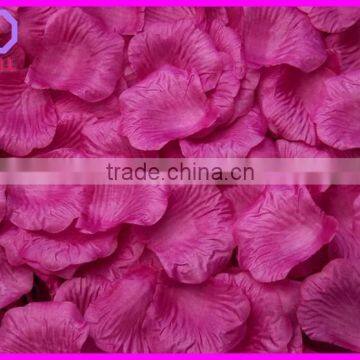 carpet rose petals