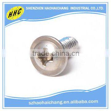 China Customized Stainless Steel Phillips Self Tapping Drywall Screw