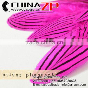 Leading Brand ZPDECOR Wholesale 12"-14" Impressing Dyed Hot Pink Silver Pheasant Feathers