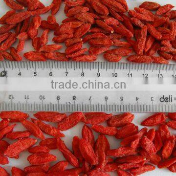 A Grade Goji in Dried Fruit photo-6