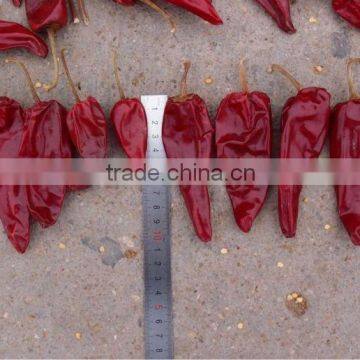 Chilli whole