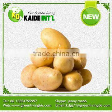 Best Fresh Potatoes New Price 2016 photo-5