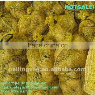 Yellow Sweet fresh holland Potato new