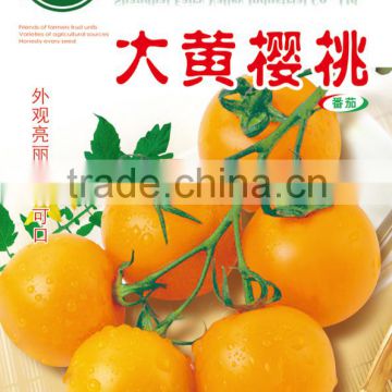 Yellow Cherry Tomato Seeds For Growing-Big Yellow Cherry