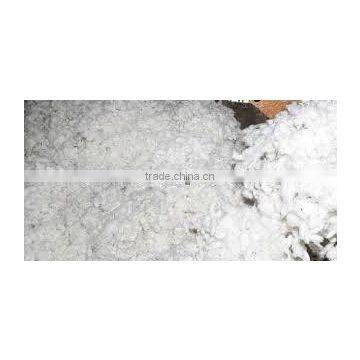 100% S-6 Raw Cotton