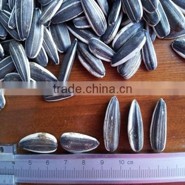 High Quality Sunflower Seed For Oil Production