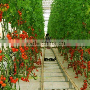 Plentirain Four Branch Arrow Dripper photo-3