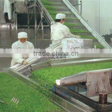 High Quality Iqf Frozen Vegetable Production Line photo-3