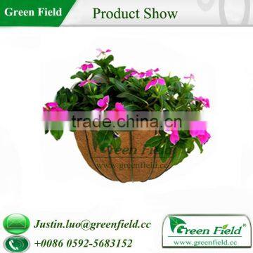 Outdoor Green Wall Planters